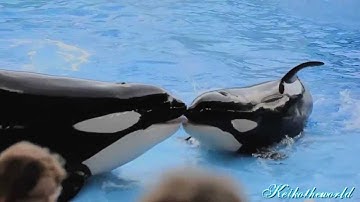 MEP Parts [ Part 3 ]