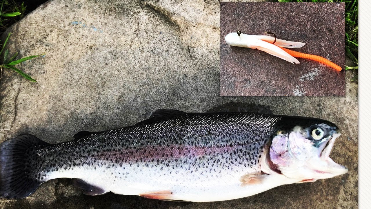 Trout fishing KastmasterPowerBaitTrout crazy for MiniJigs YouTube