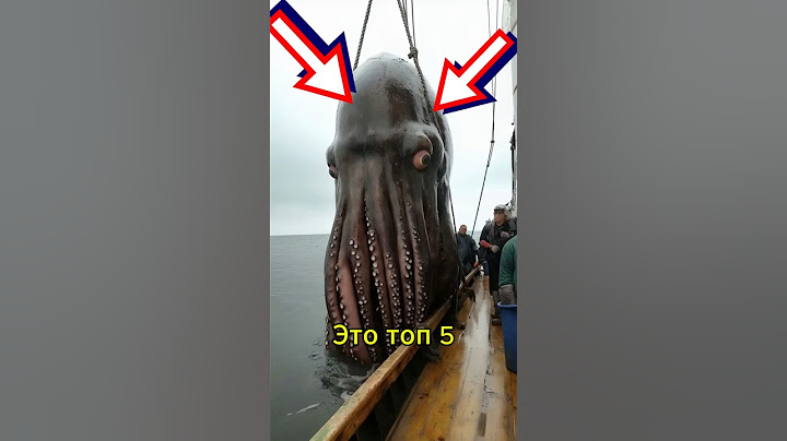 Топ-5 САМЫХ СТРАШНЫХ ЛЕГЕНДАРНЫХ МОРСКИХ МОНСТРОВ 😱