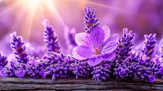 картинка: Мелодия Настолько Прекрасна До Слез 🌿 Самые Красивые Мелодии В Мире #музыка
