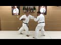 Combination #19. Yakusoku Kumite