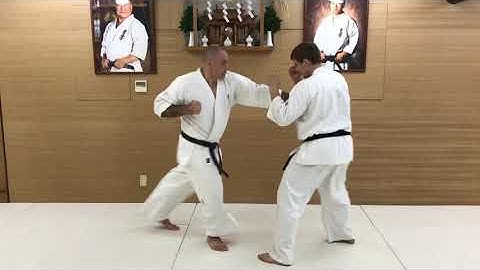 Combination #19. Yakusoku Kumite