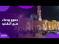 في ليلة المولد من مقام السيدة زينب دموع ودعاء من القلب