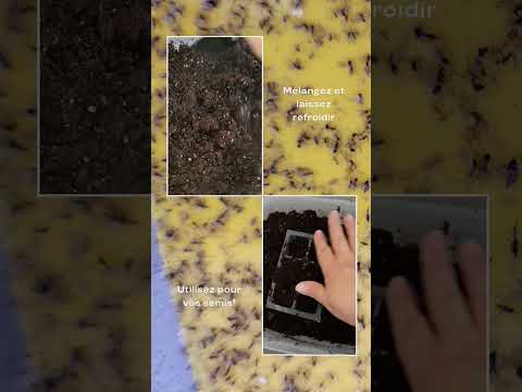 Vidéo: Jardiner au micro-ondes : conseils pour stériliser le sol au micro-ondes, etc