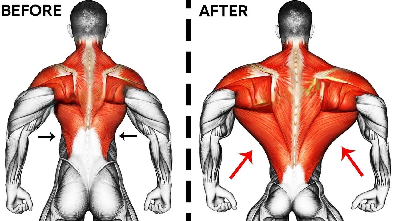 Best Exercises To Build Bigger Back - Back Workout for Beginners - YouTube