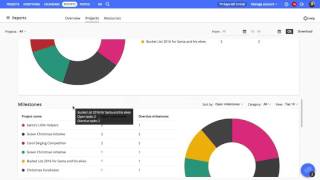 ProofHub Reports