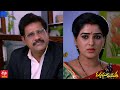 Manasu Mamata Serial Promo - 30th January 2021 - Manasu Mamata Telugu Serial - Mallemalatv