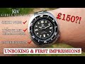 STEELDIVE 'Captain Willard' - Vintage Seiko 6105-8110 Homage (Unboxing & First Impressions)