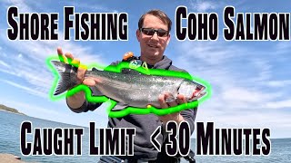 How to Catch Coho Salmon Limit in 30 minutes! Shore Fishing Lake Michigan | Milwaukee Harbor by Fish Tails 2,635 views 2 weeks ago 13 minutes, 41 seconds