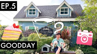GOODDAY | EP.5 | บ้านเจ้ากอกล้วย ณ.ห้วยปลากั้ง จ.เชียงราย