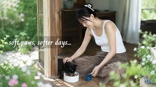 soft paws, softer days... / a playlist for quiet hours/ screenshot 1