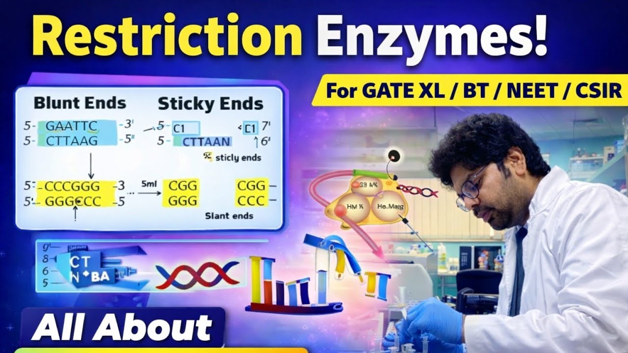 Restriction Enzymes Simplified 🔥 | GATE XL BT CSIR NEET