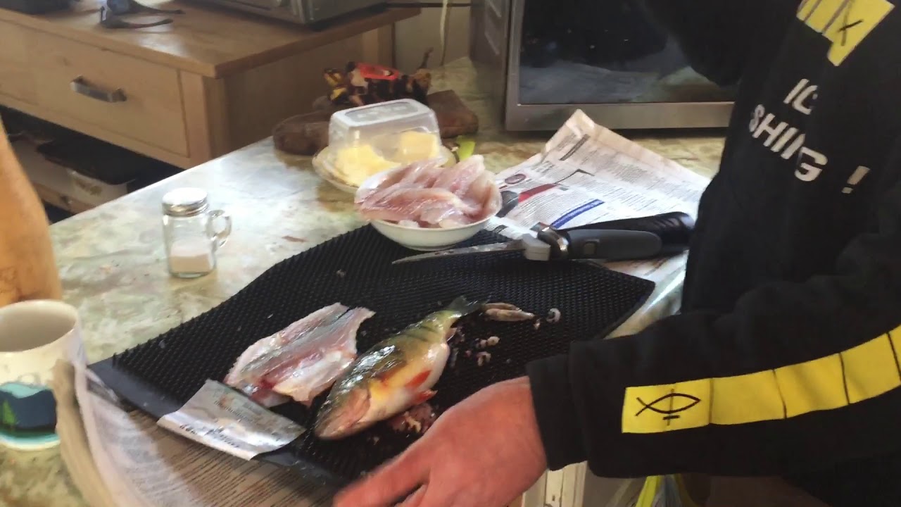 Filleting Perch with Rapala electric knife YouTube