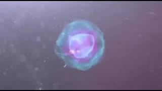 Панда.Мороженое и Смузи. screenshot 3