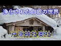 冬の戸隠神社奥社◆遠隔参拝◆雪で浄化されてる白銀の世界/Togakushi Shrine in winter