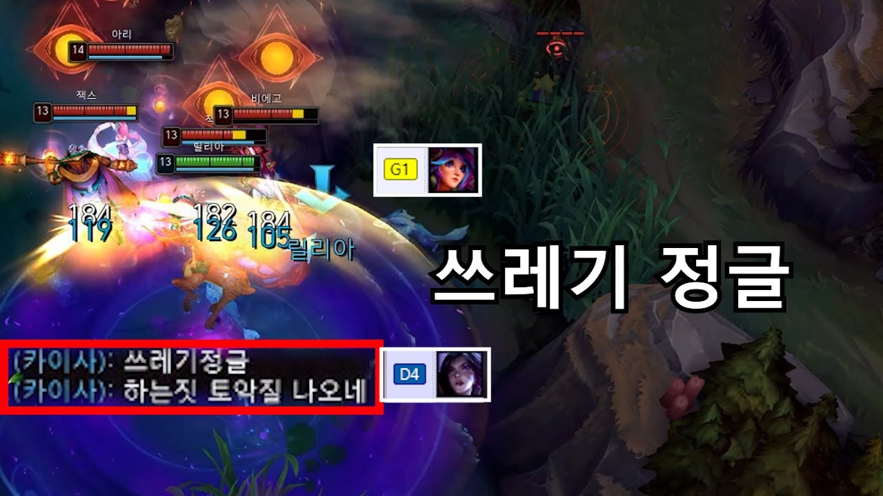 다이아 원딜한테 쓰레기 취급당하는 골드 정글러