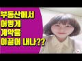 소속공인중개사의 하루 일기,  부동산에서 어떻게 계약을 이끌어 내는지..소속공인중개사가 손님을 위해 노력하는 모습 , 부동산 이야기 들려주는 언니