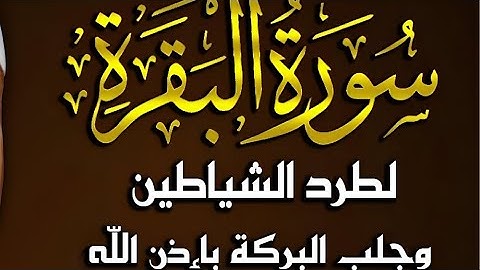 سورة البقرة من الاية 231 الى اخر السورة  بصوت الشيخ سيف عبد القادر