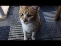 朝起きたら…まさかの出来事にビックリ👀