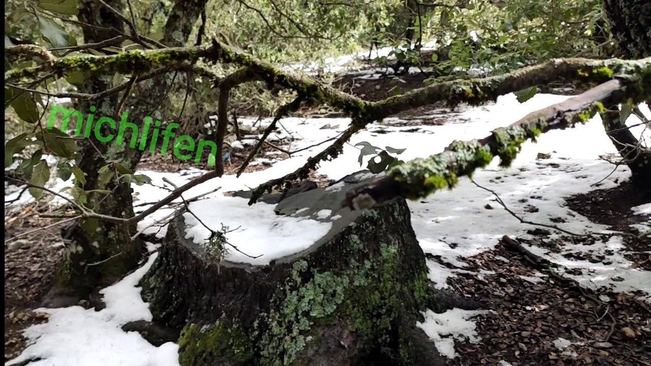 جولة في ميشلفن الثلج قليل و لكن الطبيعة رائعة