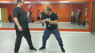 Backfist Cross Combo