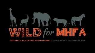 MHFA Summit 2022 Video