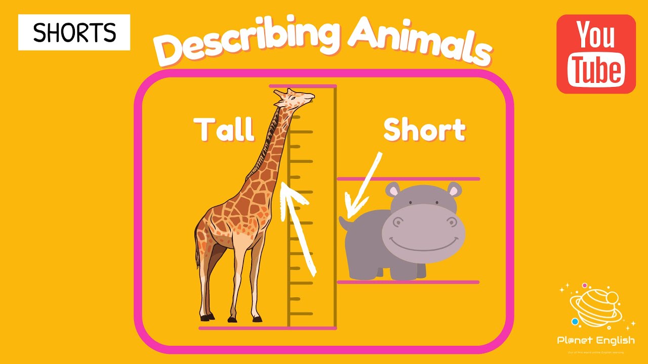 Back to School | Describing Animals #shorts - YouTube