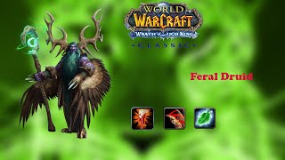 Classic WOTLK PvP Feral Druid Guide Gear gems enchants professions talents