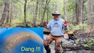 New GOLD panning record !!!!