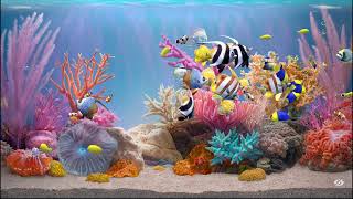 Zen Aquarium 15 - Poseidons Pearl - 50 Fish