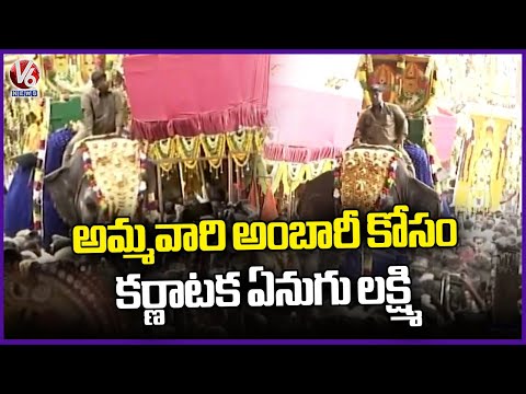 Karnataka’s Elephant Lakshmi Joins Ammavari Procession | Grand Finale of Bonalu Celebrations | V6 - V6NEWSTELUGU