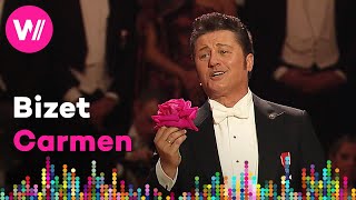 Bizet - Carmen: 'La fleur que tu m'avais jetée' (Piotr Beczala) | Wiener Opernball 2024 by wocomoMUSIC 1,605 views 1 month ago 4 minutes, 52 seconds