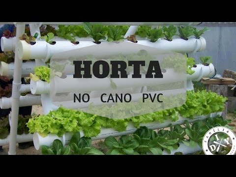 HORTA NO CANO PVC FÁCIL - ALFACE - FAMÍLIA DIY