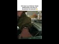 Sophie Turner faz pesquisa inusitada #ORoubo