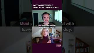 Why You Need More Than a Lawyer