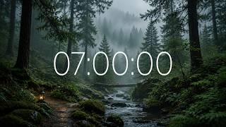 7 Hours Countdown Timer | Misty Forest | Ending Alarm | White