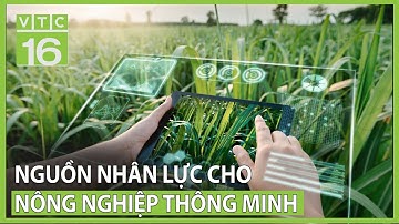 Nguồn nhân lực cho "Nông dân thông thái, nông nghiệp thông minh" | VTC16