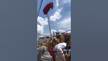 Sự cố múa lân nghinh ông Phan Thiết