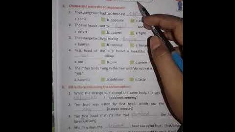Chapter 1 Strange Bird with Two Heads  (class 4th)  EXERCISE