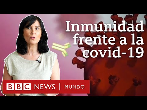 4 buenas noticias sobre la inmunidad contra la covid-19 | BBC Mundo
