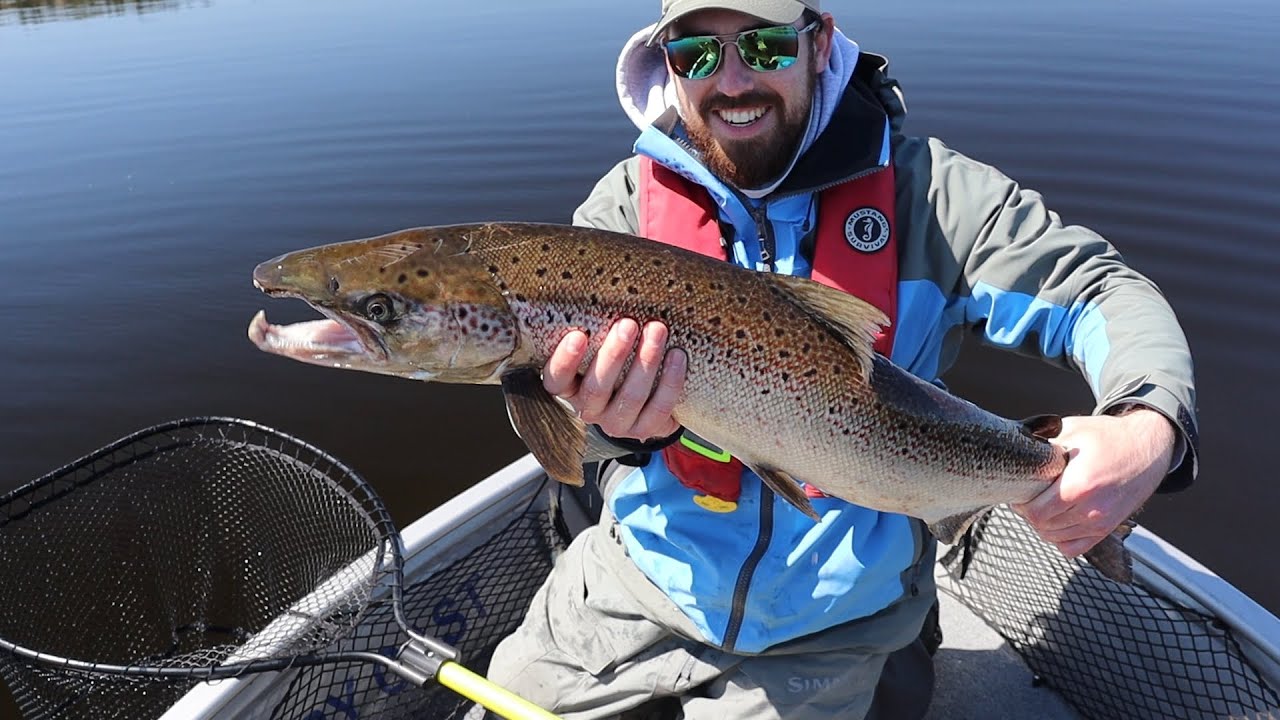 black box salmon fishing Miramichi black salmon fishing