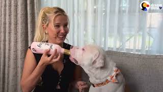 The Dodo! Millie Bobby Brown Goes On A Dodo Dream Date The Dodo