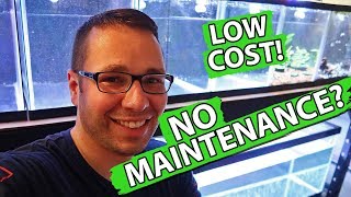 Low Maintenance Fish Tank Rack