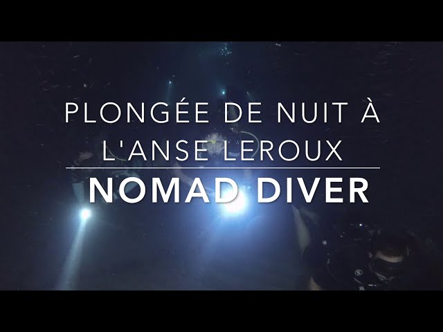 plongée de nuit à l'Anse Leroux en Guadeloupe by Nomad Diver