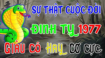 Sự Thật Cuộc Đời ĐINH TỴ 1977, Số Khổ Nhưng Tâm Không Khổ, Gánh Nặng Cuộc Đời Phúc Báu Hậu Lai