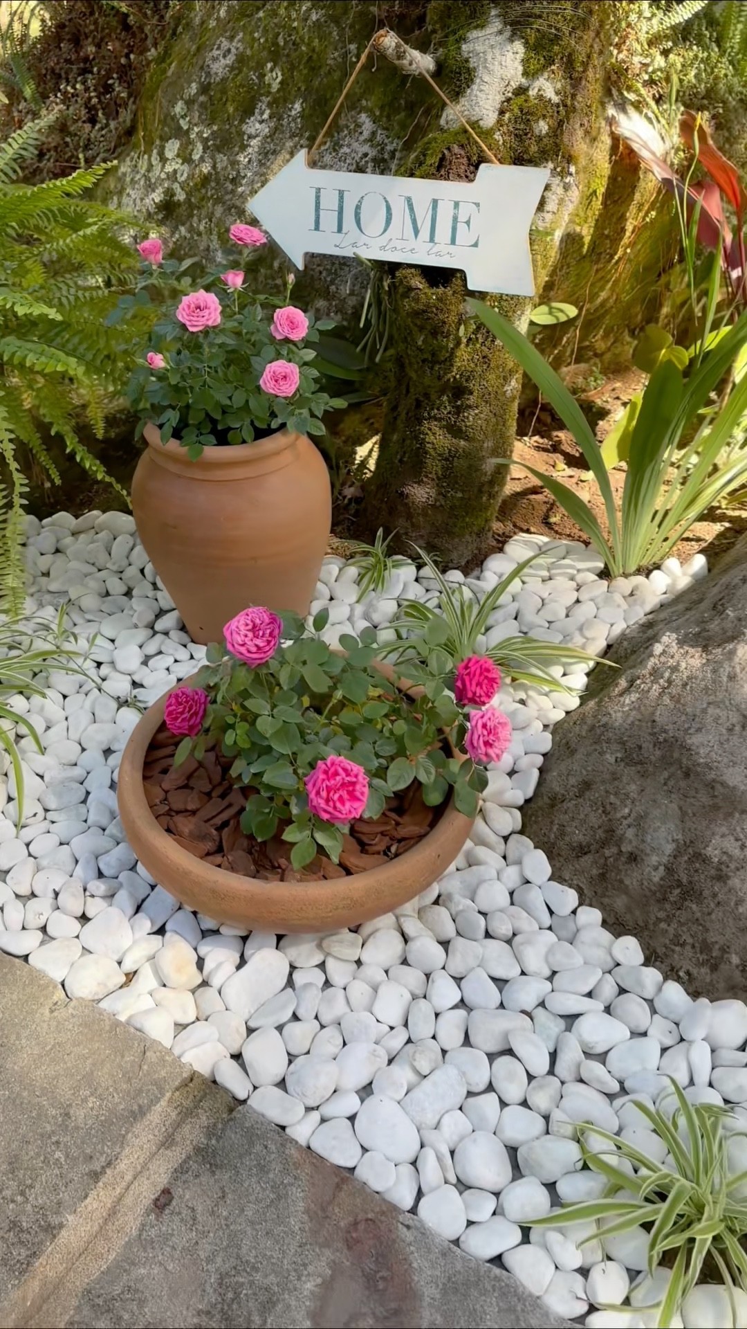 Miniature rose garden!🌷🌿 #gardening #diy #flowers - YouTube