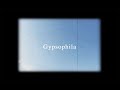 Leo「Gypsophila」(ジプソフィラ)
