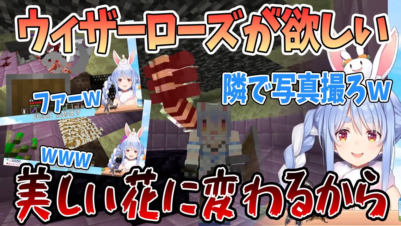【亡霊に花】心優しい兎田ぺこらがニワトリ120匹をウィザーローズに変える【切り抜き/ホロライブ】