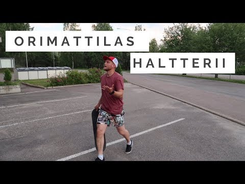 Video: Missä Rullalautailu Kairossa - Matador Network