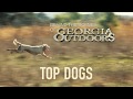 Behind the Scenes of Top Dog | Georgia Outdoors